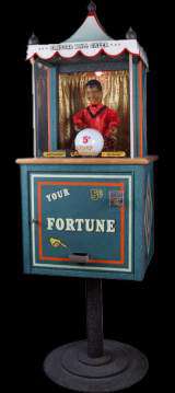 Gypsy Grandma - Crystal Ball Gazer the Fortune Teller