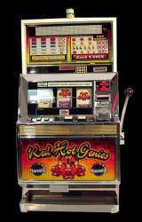Red Hot Genies the Slot Machine