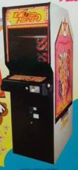 TV Flipper the Arcade Video game
