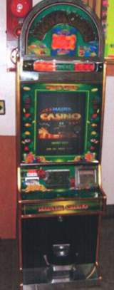 Master Casino II Plus the Medal video game