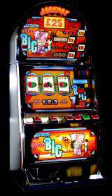 Big 7 the Video Slot Machine