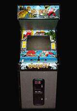 Karnov the Arcade Video game