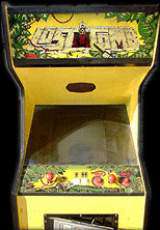 Lost Tomb the Arcade Video game