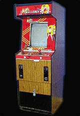 Mania Challenge the Arcade Video game