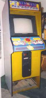Badlands [Model GX455] the Arcade Video game