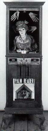 Palm Reader the Fortune Teller