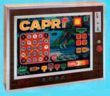 Capri the Coin-op Misc. game