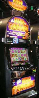 Hot Flashes the Slot Machine