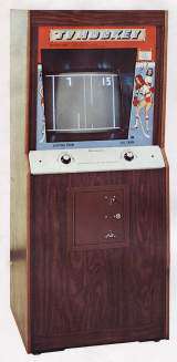 TV Hockey [2-Player model] the Arcade Video game