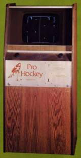 Pro Hockey the Arcade Video game