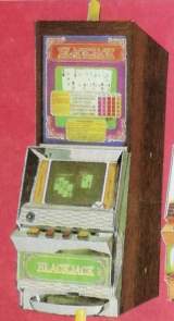 Black Jack [Model C-0008] the Video Slot Machine