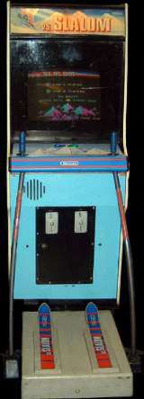 Vs. Slalom the Arcade Video game