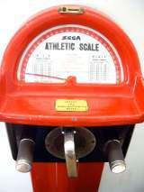 Athletic Scale the Strength Tester