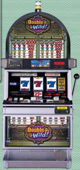 Double Wild! the Slot Machine