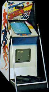 Ski the Arcade Video game