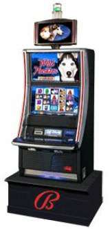 Wild Huskies the Slot Machine