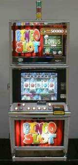 Bingo Slot the Video Slot Machine