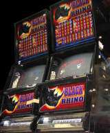 Black Rhino the Video Slot Machine