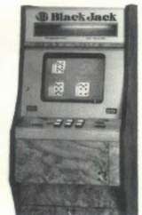 Black Jack the Video Slot Machine