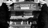 Cricket the Coin-op Misc. game