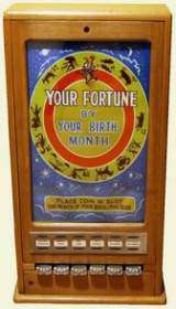 Your Fortune the Fortune Teller