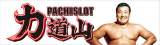 Goodies for Pachislot Rikidozan