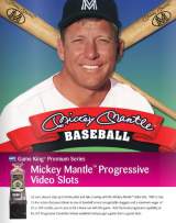 Goodies for Mickey Mantle Baseball