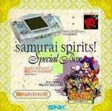 Goodies for Samurai Spirits! [Model NEOP90010]