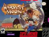 Goodies for Harvest Moon [Model SNS-AYWE-USA]