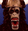 kongo