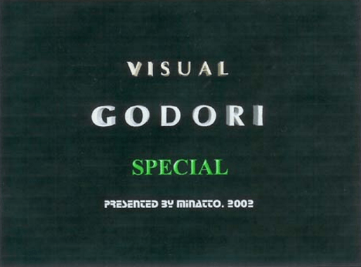 Visual Godori Special screenshot
