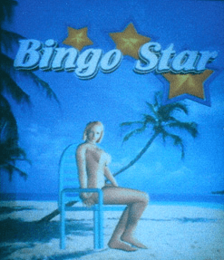 Bingo Star screenshot