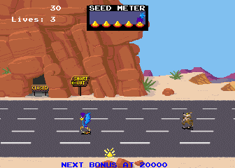 Road Runner screenshot
