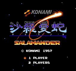 Salamander [Model RC821] screenshot