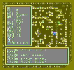 Advanced Dungeons & Dragons: Hillsfar [Model NES-QQ-USA] screenshot