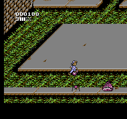 Attack of the Killer Tomatoes [Model NES-47-USA] screenshot