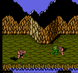 Battletoads [Model NES-BT-USA] screenshot
