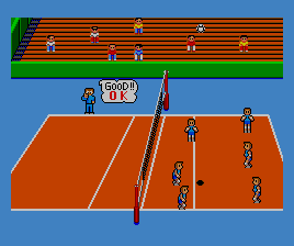 Great Volleyball [Model G-1317] screenshot