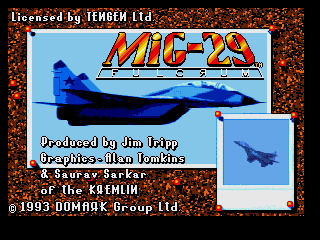 Mig-29 Fighter Pilot [Model T-48133] screenshot