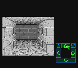 Dungeon Master [Model SHVC-V2] screenshot
