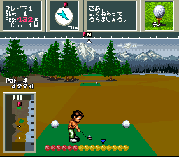 Nice de Shot - 3D Golf Simulation [Model SHVC-NN] screenshot