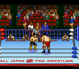 Zen-Nihon Pro Wrestling 2 - 3-4 Budoukan [Model SHVC-APRJ-JPN] screenshot