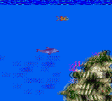 Ecco the Dolphin [Model 2516] screenshot