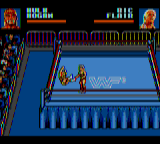 WWF Wrestlemania - Steel Cage Challenge [Model T-81108-50] screenshot