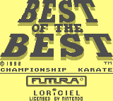 Best of the Best - Championship Karate [Model DMG-LE-NOE] screenshot