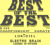 Best of the Best - Championship Karate [Model DMG-LE-USA] screenshot