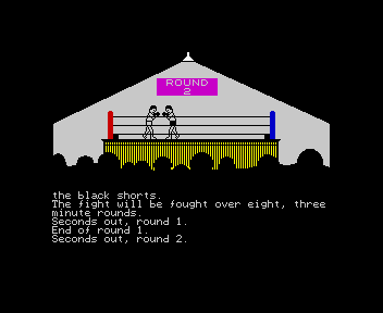 The Boxer screenshot