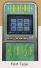 Eibise [Model TS-002] the Video Slot Machine