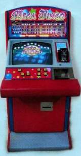 Mega Bingo the Slot Machine