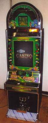 Master Casino the Medal video game
